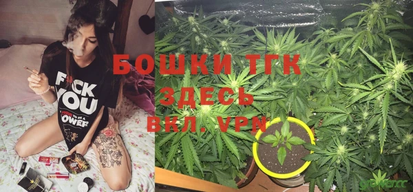 твердый Магас
