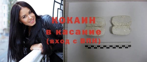 твердый Магас
