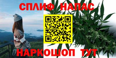 молекула духа Берёзовский