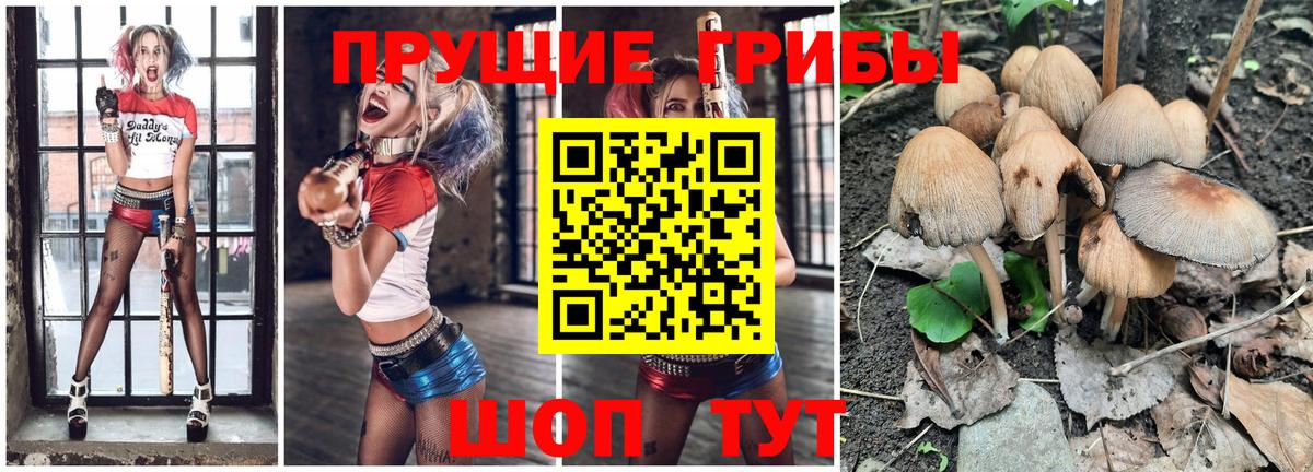 Псилоцибиновые грибы ЛСД  Псилоцибиновые грибы Psilocybe  Канаш  купить наркоту  Вход с VPN 