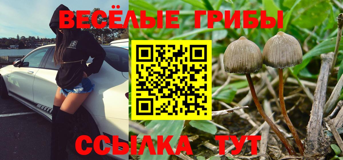 Псилоцибиновые грибы Magic Shrooms Канаш