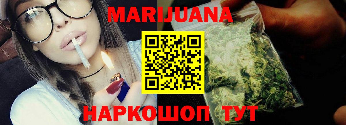 Каннабис планчик Канаш